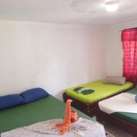 Cabinas Miss Miriam 2 トルトゥゲーロ エクステリア 写真