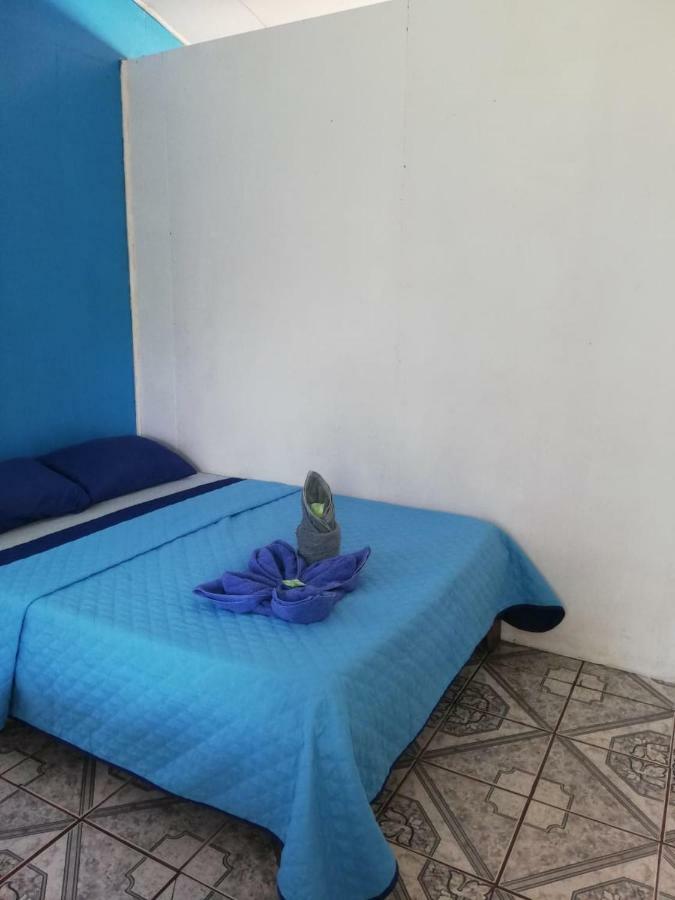Cabinas Miss Miriam 2 トルトゥゲーロ エクステリア 写真