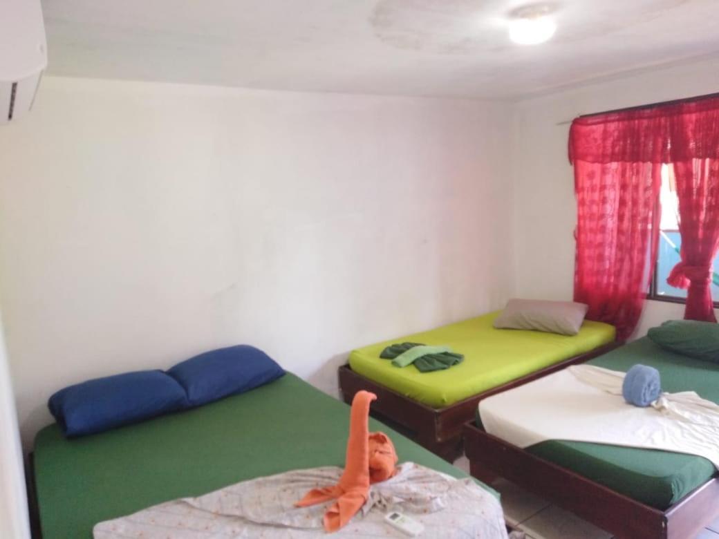 Cabinas Miss Miriam 2 トルトゥゲーロ エクステリア 写真