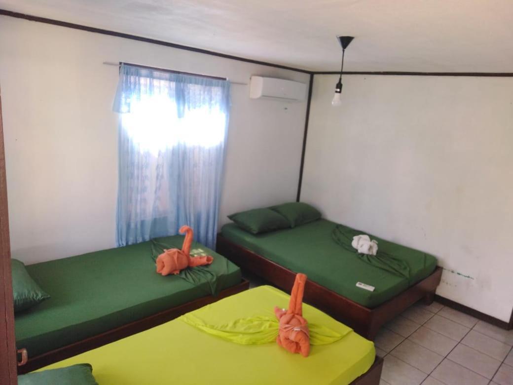Cabinas Miss Miriam 2 トルトゥゲーロ エクステリア 写真